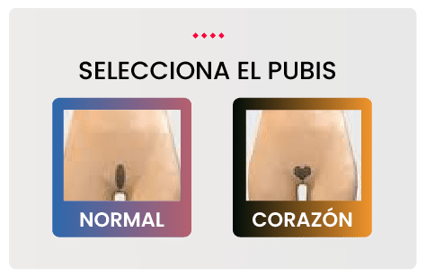 type of pubis